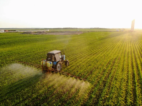 Tractor rocía pesticidas en campos de maíz al atardecer — Foto de Stock