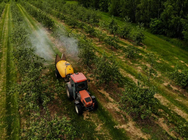 Traktor merah menyemprotkan pestisida di kebun apel. Menyemprot pohon apel dengan traktor — Stok Foto