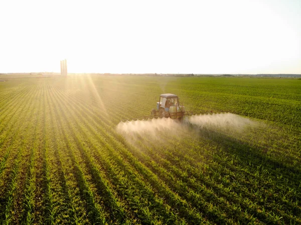 Trator pulveriza pesticidas em campos de milho ao pôr do sol — Fotografia de Stock