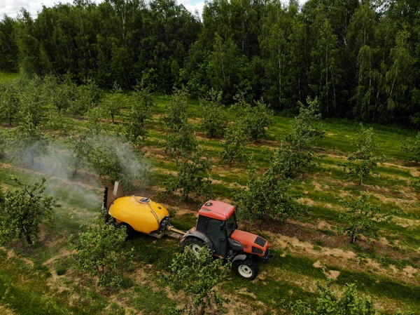 Um trator vermelho pulveriza pesticidas num pomar de maçãs. Pulverizar uma macieira com um trator — Fotografia de Stock