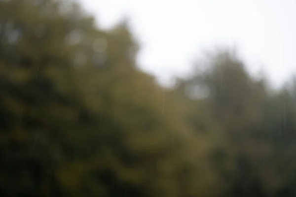 Ağaçların arka planda hafifçe bulanıklaştığı soyut bir ışık yağmuru manzarası. Sessizleştirilmiş tonlar ile en düşük kompozisyon bu resmi hava, ruh hali, sakinlik, sonbahar ve atmosferik arkaplan kavramları için uygun hale getirir.