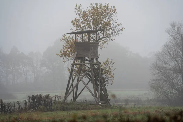 Arka planda sonbahar ağaçları olan sisli bir çayırda tek başına ahşap avcılık standı. Sisli atmosfer ve soluk renkler kırsal alan, yalnızlık ve sonbahar kavramları için uygun sessiz bir kırsal manzara yaratır..