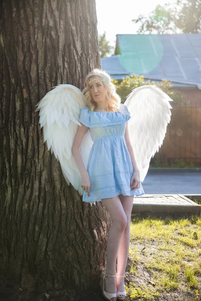 Angel Chica Con Grandes Alas Plumas Blancas —  Fotos de Stock