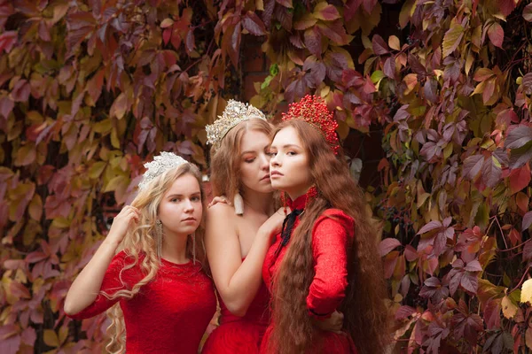 Ragazze Russe Sono Belle Tradizioni Nazionali Russe Sorelle Con Corone — Foto Stock