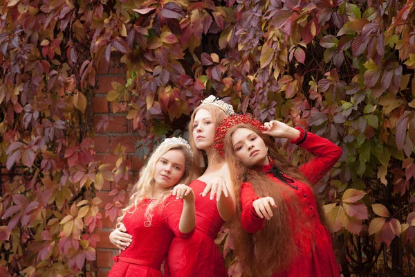 러시아 여자들은 예쁘다 러시아의 왕관을 자매들 외국에서 아내들 드레스를 공주들 — 스톡 사진