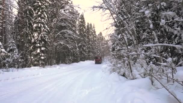Rusya, Karelia, Ruskeala - 22.02.2021: Bir kamyon ve kereste kamyonu kışın ormandan geçer — Stok video