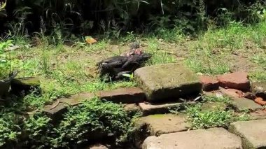 Yeni yıl partisi için bir afişin vektör illüstrasyonu