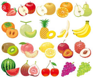 Elma, çilek, muz, üzüm, kavun, ananas ve daha pek çok taze meyve içeren kapsamlı bir vektör koleksiyonu. Her meyve tek tek gösterilir ve dilimlenir. Market posterleri, sağlıklı yemek blogları ve eğitim malzemeleri için mükemmel.