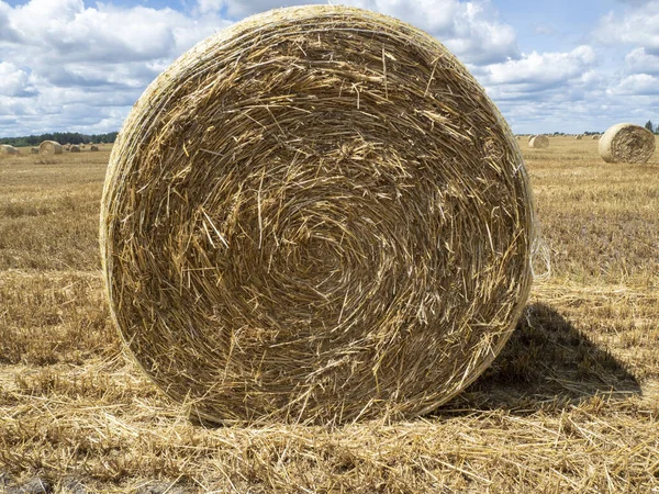 Haystacks Campo Vista Perto Amarelo Brilhante Dourado Haystacks Campo Agrícola — Fotografia de Stock