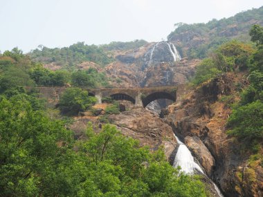 Hindistan 'ın Goa eyaletinde Dudhsagar şelalesi. Hindistan 'ın en yüksek şelalelerinden biri, yağmur ormanlarının derinliklerinde yer alıyor. Şelalenin üzerinden bir demiryolu geçiyor.