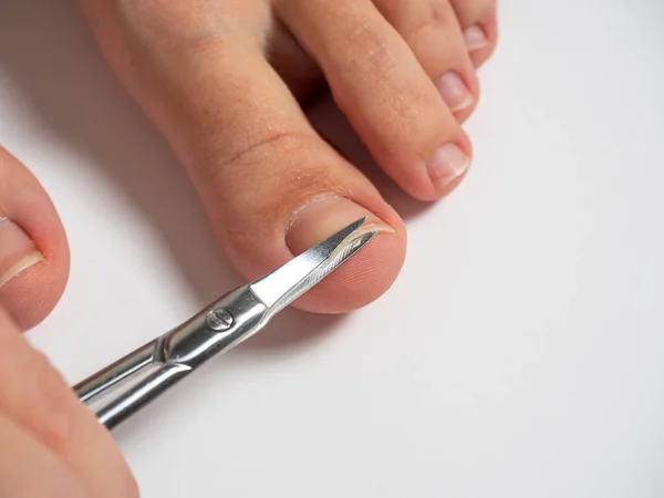 scissors cut the nails on the big toe of a woman's foot. The concept of the care of nails and feet