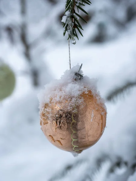 一种闪亮的圣诞树玩具 以球的形式挂在树枝上的森林里 玩具上的雪 — 图库照片