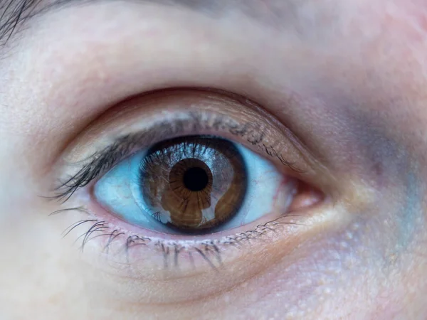 close up of a woman\'s eyes brown looking directly into the camera