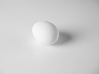 Beyaz arka planda beyaz bir tavuk yumurtası var. Minimalist natürmort