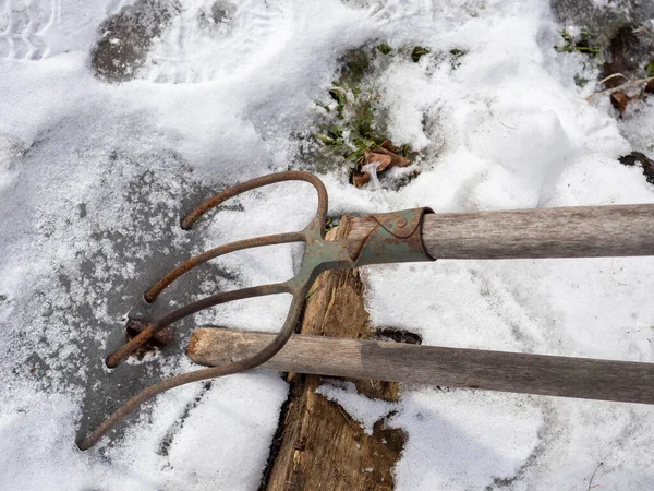 Kovové Vidle Dřevěnou Rukojetí Zamrzlé Ledu Zimě — Stock fotografie