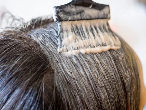 Kadınların Saçlarına Bir Fırçayla Boya Sürerken Saç Bakımı Saç Boyası — Stok fotoğraf