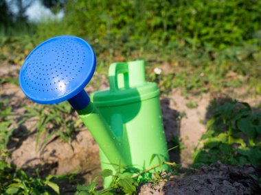 Bahçede yerde duran mavi bir oluğuyla plastik yeşil bir sulama kutusunun yakın çekimi. Tarım ve bahçıvanlık kavramı