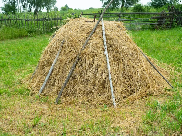 Närbild Gyllene Stapel Klippt Torrt Gräs Village Landskap Lantliv Djurfoder — Stockfoto