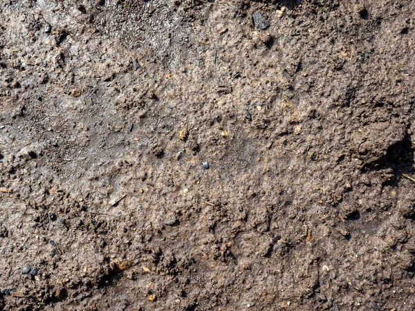 Black Earth Planting Plants Wet Top View Flat Lay Texture — Stock Photo, Image