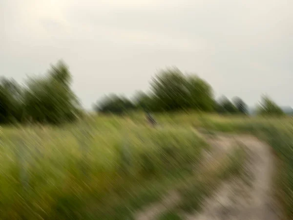 Yaz Akşamında Kırsal Bir Yolu Resmeden Bulanık Bir Manzara — Stok fotoğraf