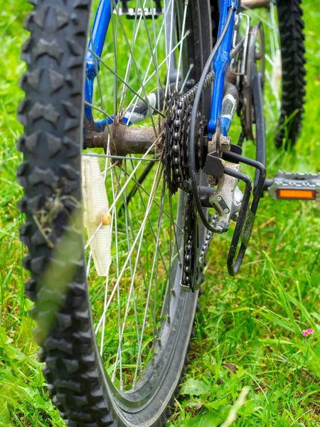 Kerékpár Hátsó Kerekén Lévő Fogaskerekek Közelsége Zöld Háttérben Függőlegesen Fotó — Stock Fotó