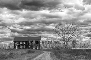 Issızlığı ve kırsal bozulmayı tasvir eden kasvetli bulutlu bir gökyüzünün altında, çorak bir ağacın yanında duvarları soyan eski ahşap bir ev..