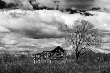 Terk edilmiş ahşap bir ev, geniş bir kırsal alanda, verimsiz bir ağaç tarafından çerçevelenmiş ve yoğun bulutlarla dolu dramatik bir gökyüzünün altında. Kırsal ve melankolik yalnızlığın mükemmel tasviri.