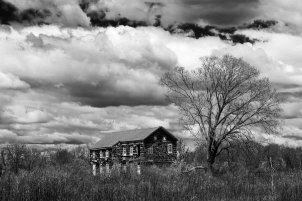 Terk edilmiş ahşap bir ev, geniş bir kırsal alanda, verimsiz bir ağaç tarafından çerçevelenmiş ve yoğun bulutlarla dolu dramatik bir gökyüzünün altında. Kırsal ve melankolik yalnızlığın mükemmel tasviri.