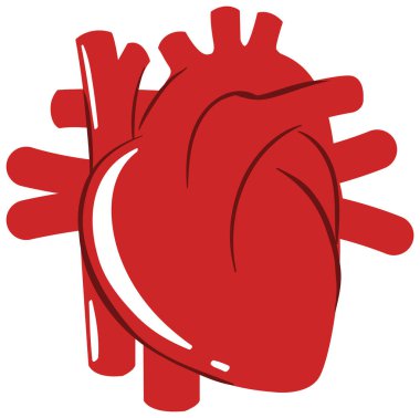 Beyaz arkaplanda izole edilmiş kırmızı kalp sembolü