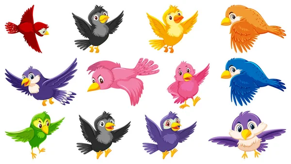 Conjunto Ilustración Personajes Dibujos Animados Aves — Vector de stock