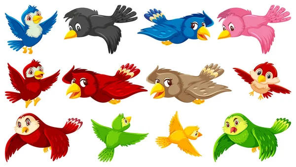 Set Bird Cartoon Character Illustration — Stock Vector