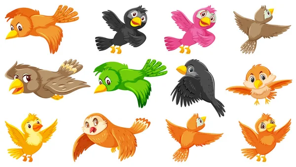 Conjunto Ilustración Personajes Dibujos Animados Aves — Archivo Imágenes Vectoriales