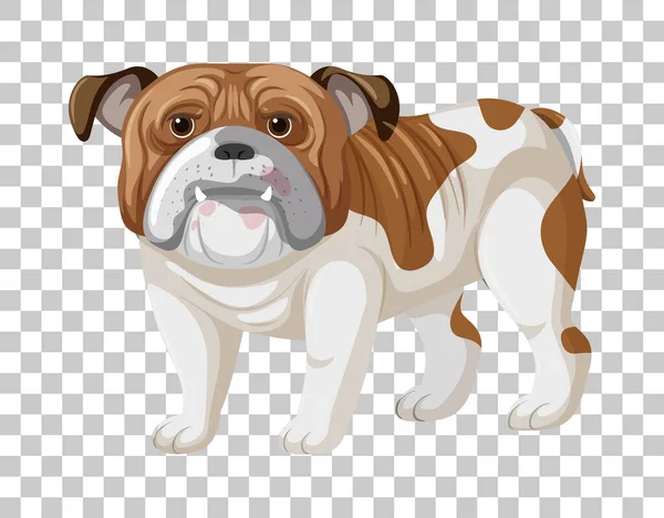 Bulldog Blanco Marrón Posición Pie Personaje Dibujos Animados Aislado Sobre — Vector de stock