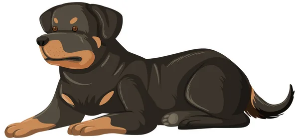 Rottweiler Estilo Dos Desenhos Animados Sobre Fundo Branco Ilustração — Vetor de Stock