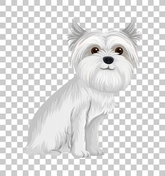 Branco Australian Terrier Posição Sentada Personagem Desenho Animado Isolado Fundo — Vetor de Stock