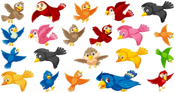 Set Bird Cartoon Character Illustration — Stock Vector