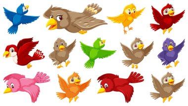Set of bird cartoon character illustration clipart