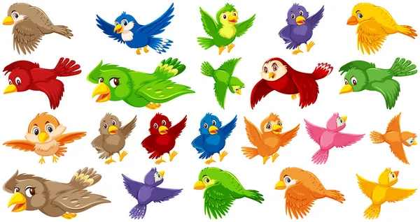 Set Bird Cartoon Character Illustration — Stock Vector