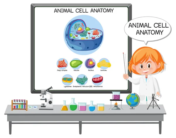 Giovane Scienziato Che Spiega Anatomia Delle Cellule Animali Diagramma Biologia — Vettoriale Stock