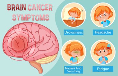 İnsan beyin diyagramının bilgi posteri