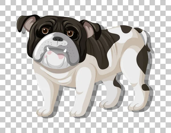 Buldogue Branco Preto Posição Personagem Desenho Animado Isolado Ilustração Fundo — Vetor de Stock