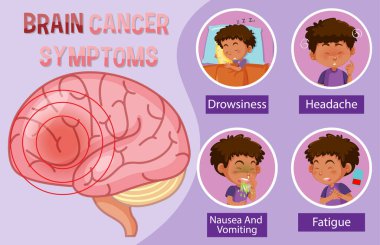 İnsan beyin diyagramının bilgi posteri