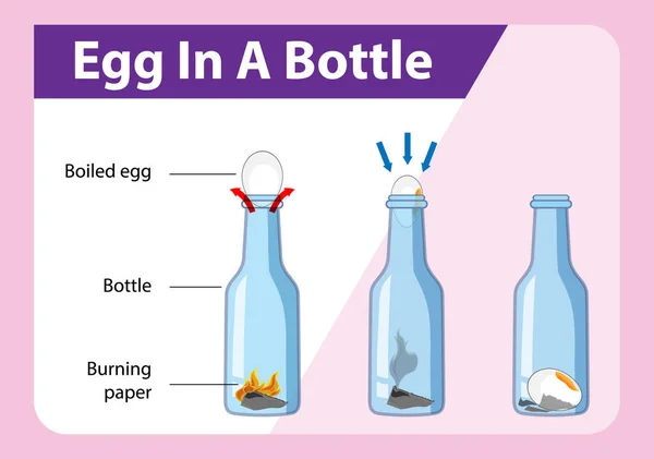 Experimento Científico Con Huevo Una Ilustración Botella — Archivo Imágenes Vectoriales
