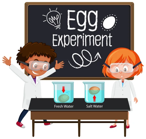 卵のフロートテストイラストで科学実験を説明する若い科学者 — ストックベクタ
