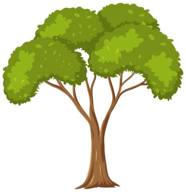 Beyaz arkaplan illüstrasyonunda izole ağaç