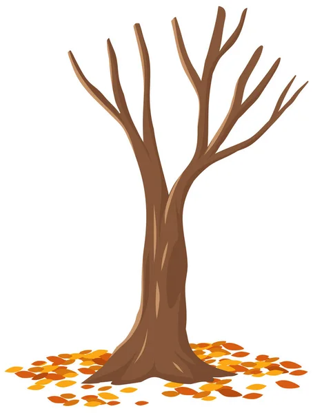 Árbol Otoño Aislado Sobre Fondo Blanco Ilustración — Vector de stock