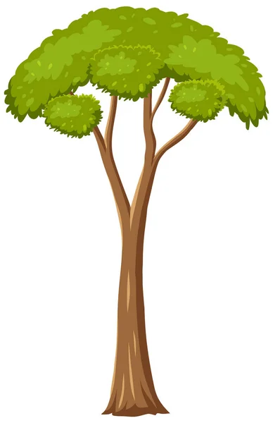 Isolierte Baum Auf Weißem Hintergrund Illustration — Stockvektor