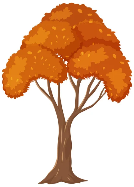 Árvore Outono Isolada Sobre Fundo Branco Ilustração —  Vetores de Stock