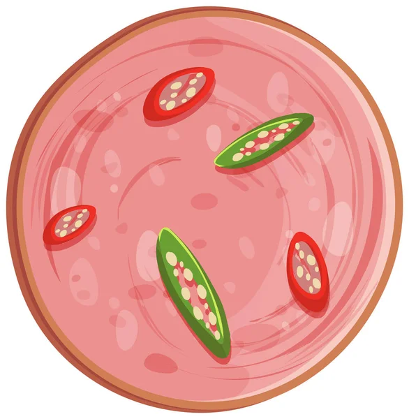 Salsiccia Mortadella Affettata Con Illustrazione Isolata Peperoncino — Vettoriale Stock