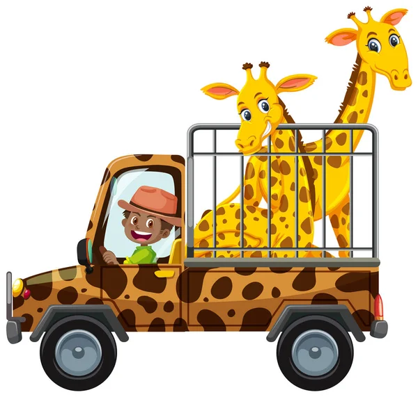 Zoo Concept Met Giraffe Groep Kooi Auto Geïsoleerd Witte Achtergrond — Stockvector